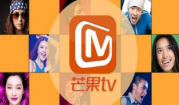 芒果tv最新电视剧,穿越时空的浪漫邂逅