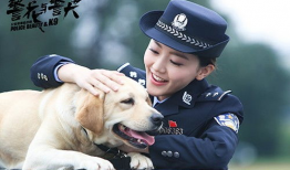 警花与警犬电视剧全集,热血追踪，正义同行
