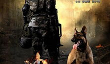 神犬奇兵电视剧,忠诚守护，战火炼心